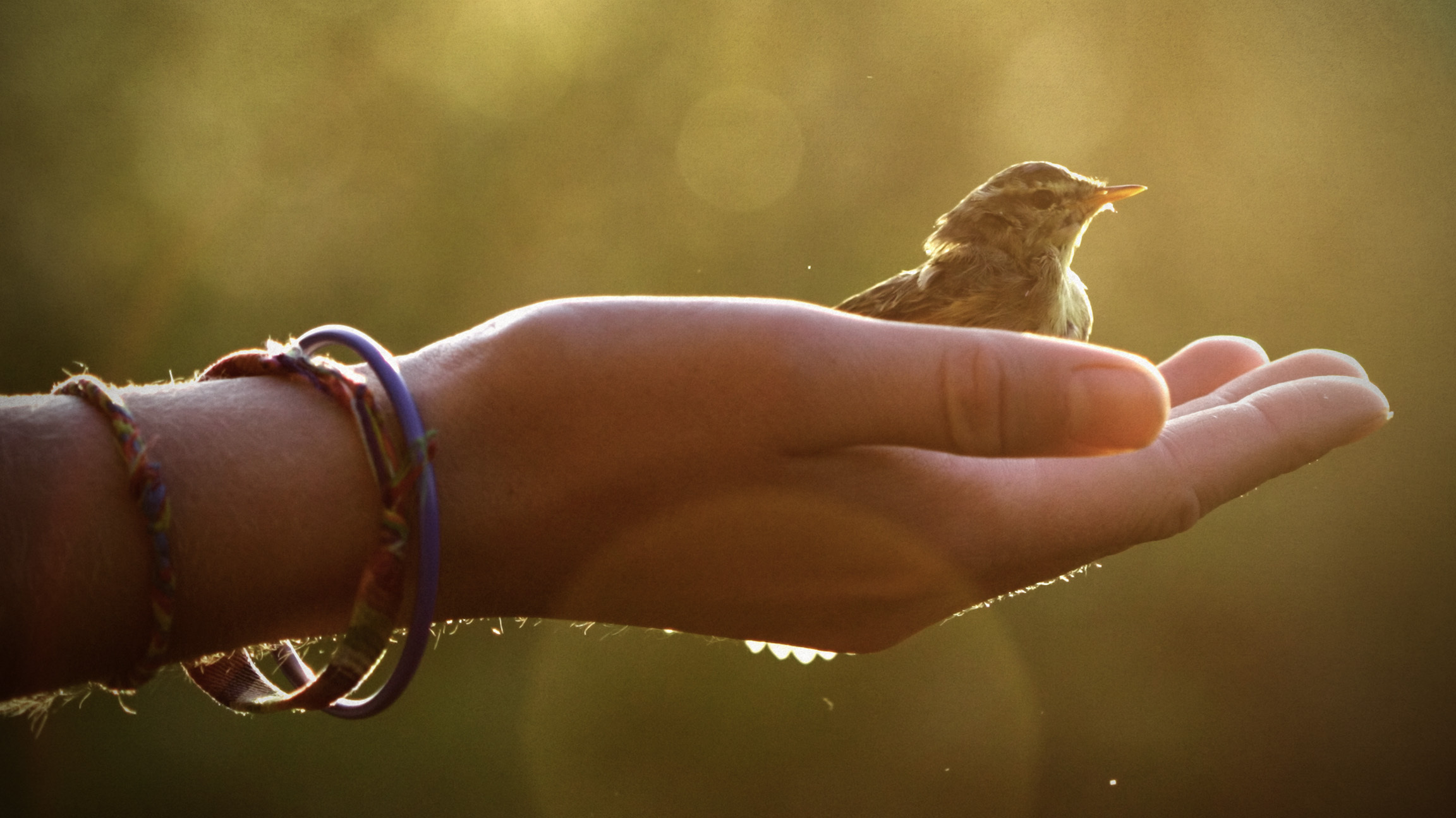 WHAT HAPPENS TO US WHEN WE DIE visual data 4